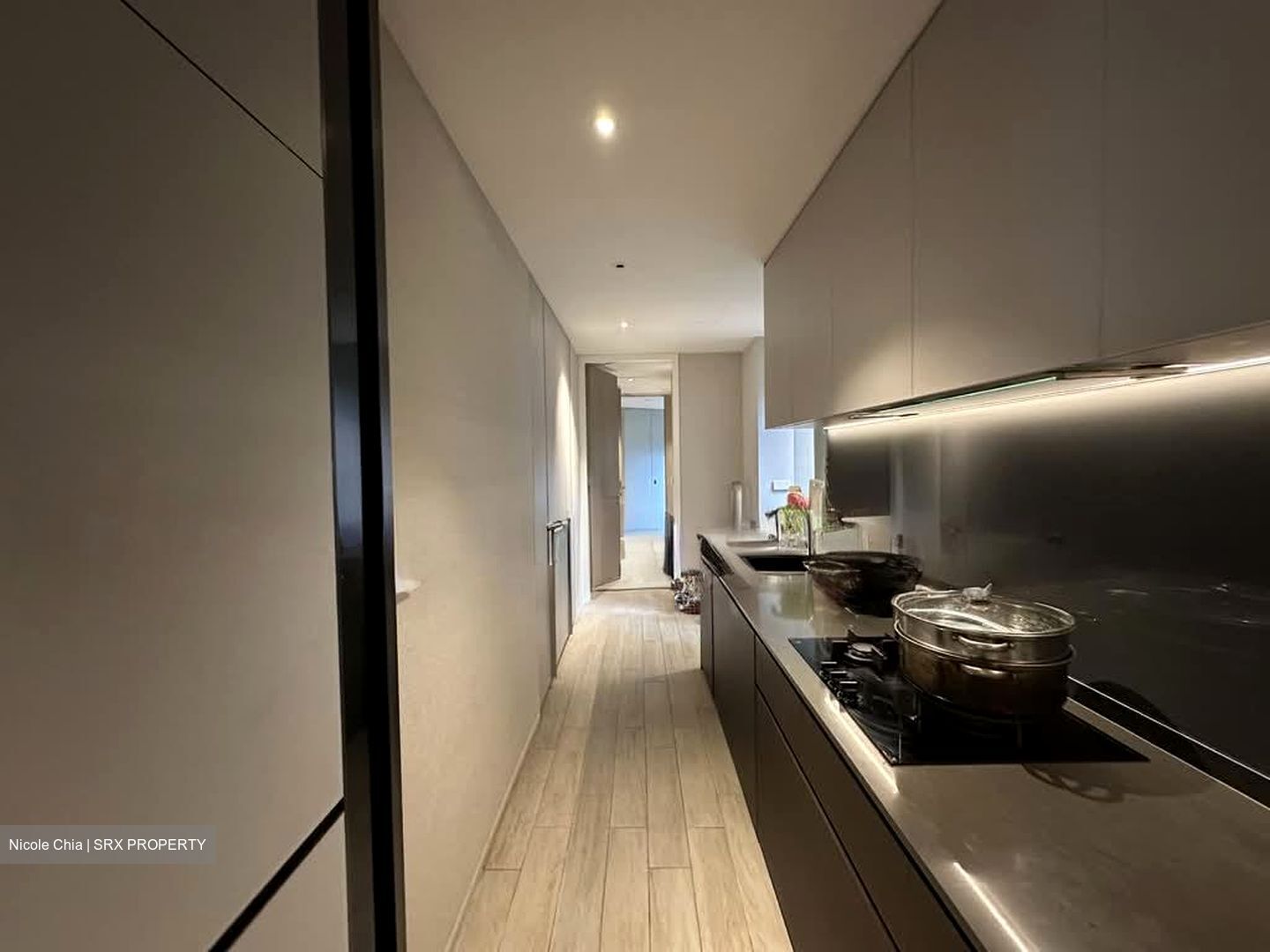 Amber Park (D15), Condominium #557719111